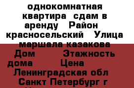  однокомнатная квартира  сдам в аренду › Район ­ красносельский › Улица ­ маршала казакова › Дом ­ 44 › Этажность дома ­ 18 › Цена ­ 20 000 - Ленинградская обл., Санкт-Петербург г. Недвижимость » Квартиры аренда   